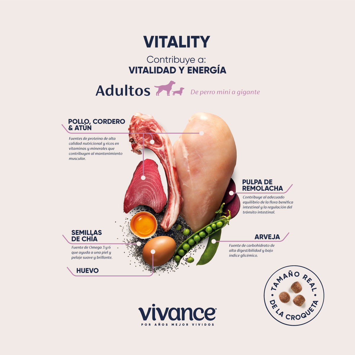 Vivance Vitality Adultos