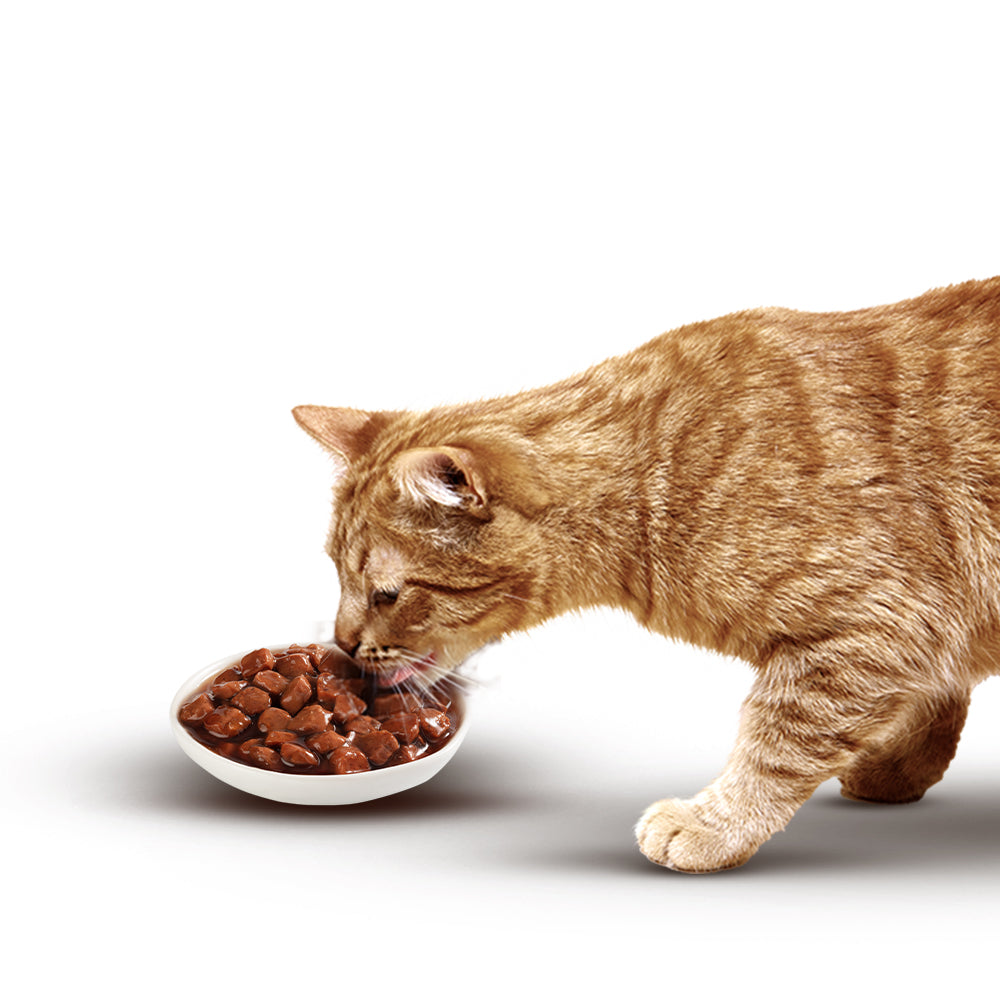 Nutriss Gatos trocitos en salsa sabor Salmón