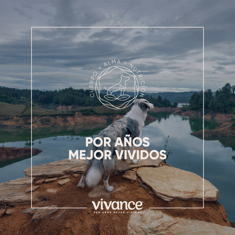 Vivance Vitality Adultos